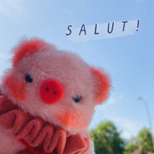 Salut Piggy