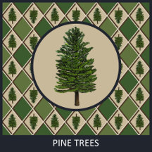 Pine Trees and Harlequin