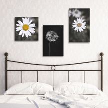 Black and White Fine Art Photography