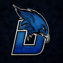 Blue Hawk Esports Items