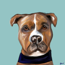 American Staffordshire Terrier Art