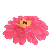 Pink Daisy Flower