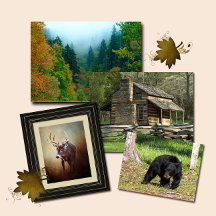 Smoky Mountain Art
