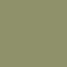 Timeless - Olive