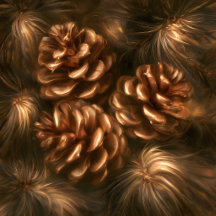Pinecones