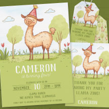 Llama, outdoor kids birthday celebration