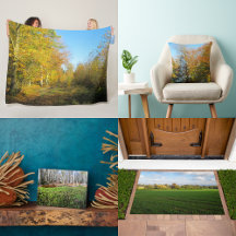 Autumn Décor 🍂🍁