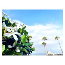 MANHATTAN BEACH!