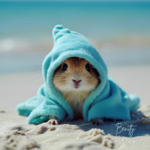 Cute little hamster summer vibes