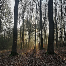 Poster und Leinwände