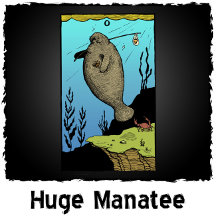 Huge Manatee