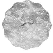 Love Flows Through The Souls