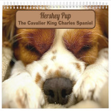 Dog Lovers Calendar Collection