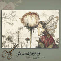 Vintage Fairy Botanical Sketch Collection
