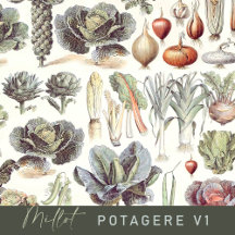 Adolphe Millot Vintage Vegetable Pattern