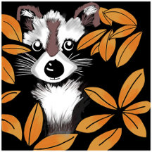Raccoon