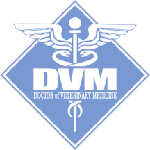 DVM Shirts