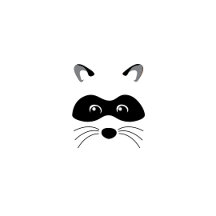 Raccoon