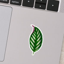 House Plant Stickers