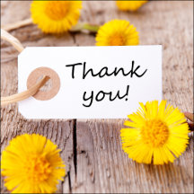 Thank You Cards