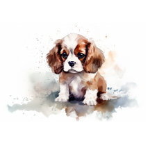 Cavalier King Charles Spaniel