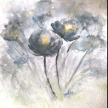 Shower Curtains and Fleece Blankets