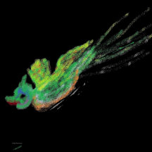 Paintings, Voyage and photography