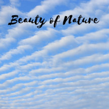 Beauty of Nature