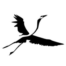 Strawberry Spiritwear