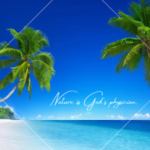 The Beach Collection