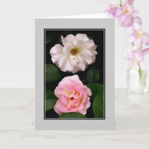 Blank Greeting & Notecards