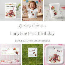 Ladybug First Birthday