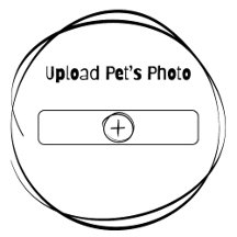 Pet Memorial