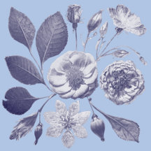 Vintage flowers on blue