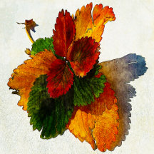 Colorful shades of autumn leaves