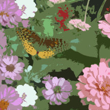 Butterflies are free!