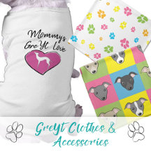 Dog Accessories