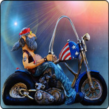 Easy Rider