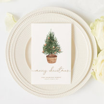 Elegant Christmas