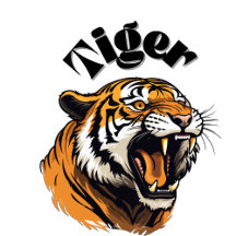 Coleccion de Sudaderas y camiseta para caballeros 