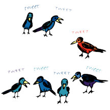 A Whole Lot of Birdies