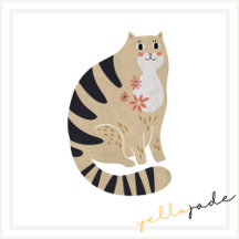 Funny Cute Smiling Cat