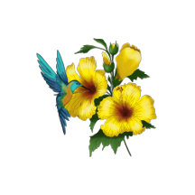 Hummingbird Party Time