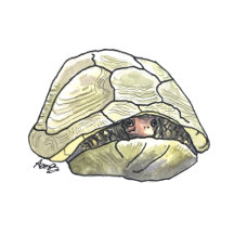 Neurodiversity and Personality