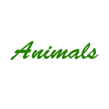Animals