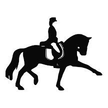 Dressage Horses