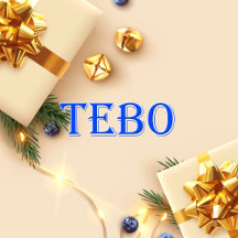Tebo_Name T-Shirt