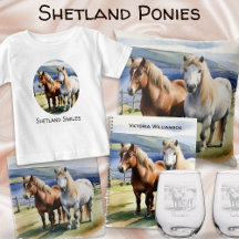 Shetland Pony Gifts and Home Decor