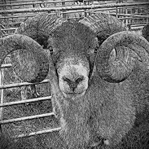 Scottish Digital Woodcuts & Engraving