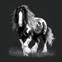 Monochrome Gypsy Cob Horse